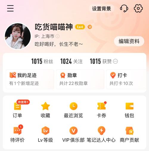 **小红书自助购粉初体验：网红成长日记揭秘**