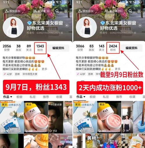 解锁抖音新高度，1000粉丝自助平台助你腾飞