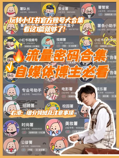 解锁小红书人气密码，自助购买粉丝平台来袭