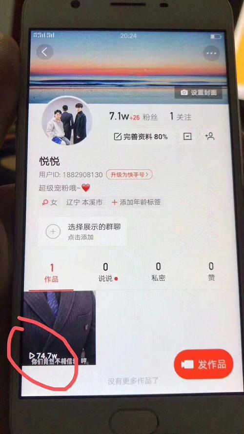 解锁快手新高度，刷粉软件让你粉丝满满