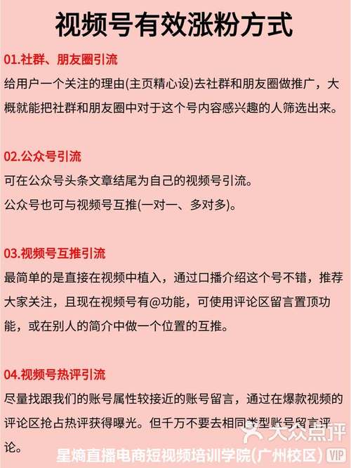 **标题：揭秘朋友圈视频号涨粉秘籍，粉丝飙升不停歇！**