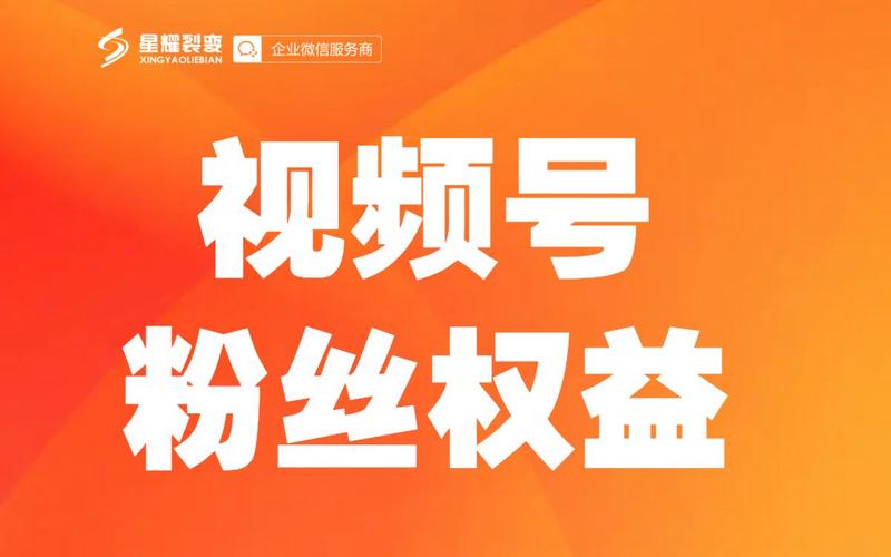 **标题：揭秘视频号粉丝破千攻略，助你快速成为网红大咖！**