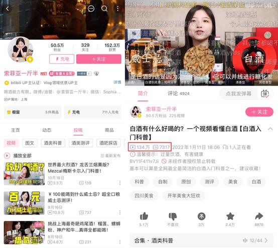 **揭秘B站代刷网：人气UP主的幕后推手还是陷阱？**