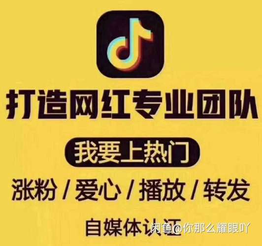 快手真人刷粉网站，让你的短视频事业蒸蒸日上
