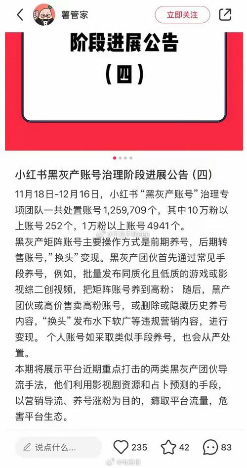 **小红书粉丝购买心得：安全增粉，远离封号风险**
