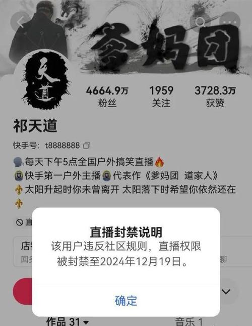 **揭秘快手粉丝飞速增长的神秘助推器**
