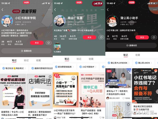 **标题：安全实惠两不误！小红书实名认证账号购买全攻略**