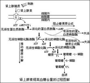 深度解析:微博刷粉网的背后原理和作用机制