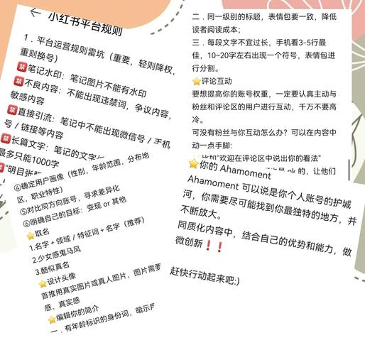 小红书买粉网站全解析:快速增粉的秘诀