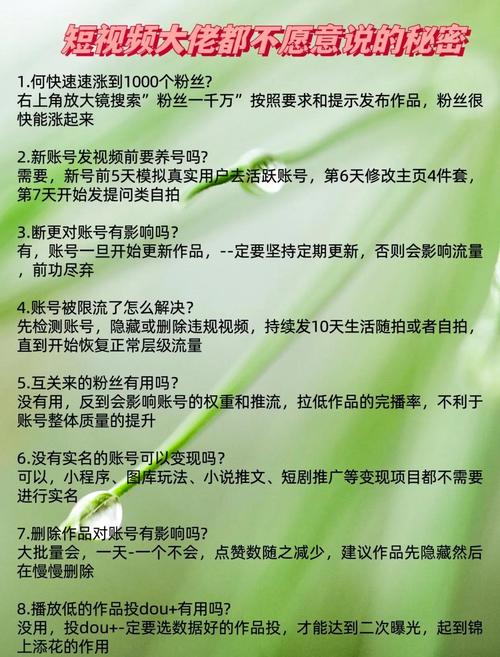 抖音涨粉新姿势:教你如何利用粉丝自助平台!