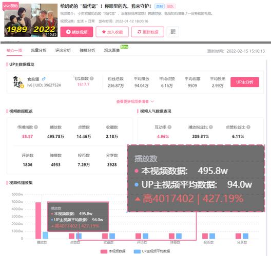 **哔哩哔哩播放量代刷网:助力UP主腾飞的灰色地带**