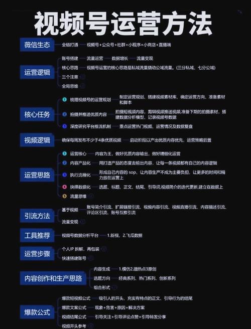 **打造热门视频号的秘诀：借助专业平台，提升你的视频号排名**