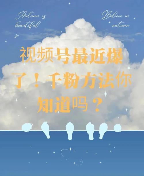 **标题:揭秘:小红书粉丝飙升的秘诀,轻松变身网红大咖!**