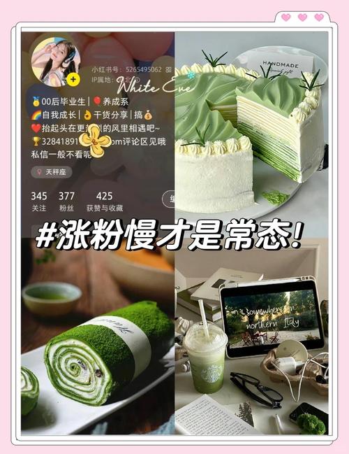 微博粉丝增长攻略：揭秘刷粉网的实用技巧！