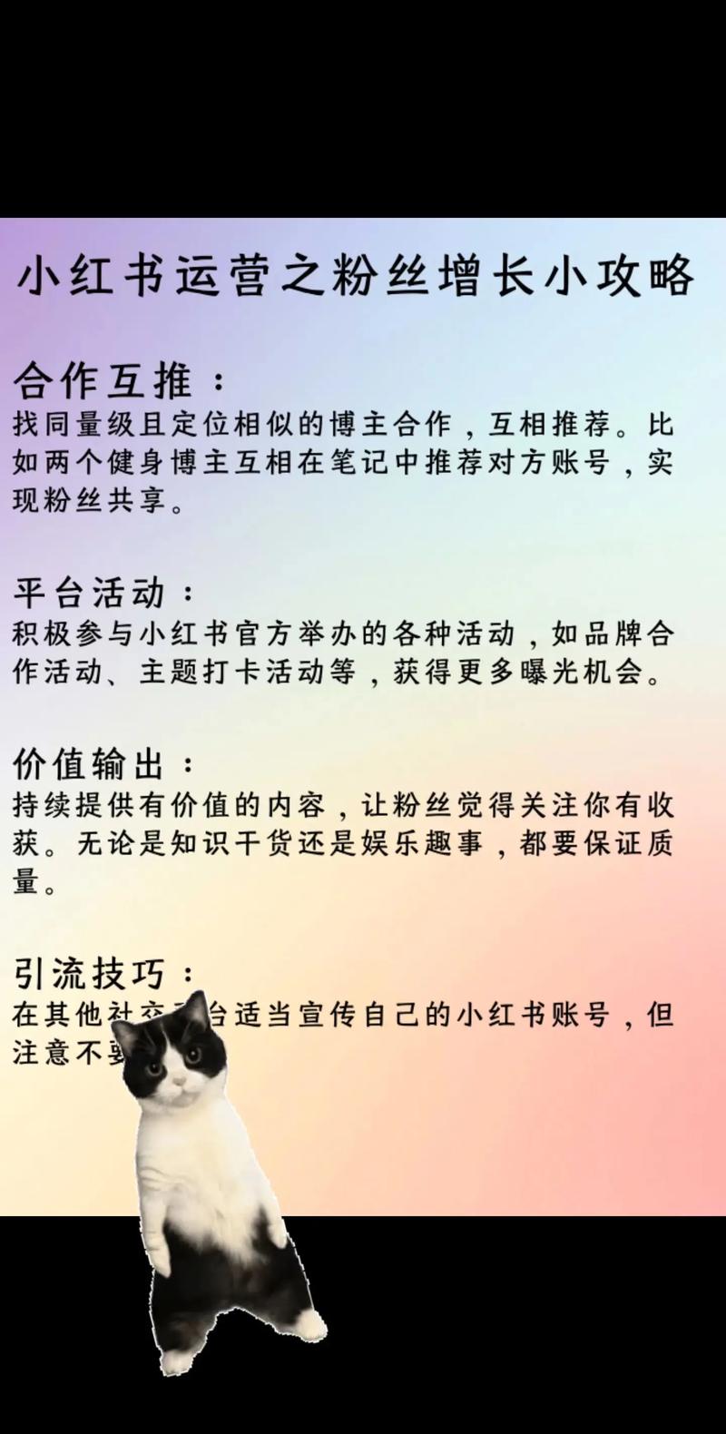 微博粉丝增长攻略:揭秘刷粉网的实用技巧!