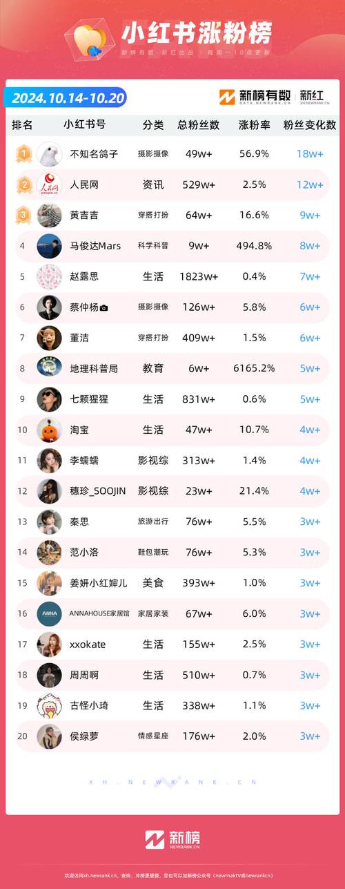 **小红书粉丝数飙升秘诀!大神亲授快速积累心得!**